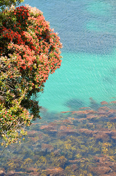 Wilderness Canoe Trust